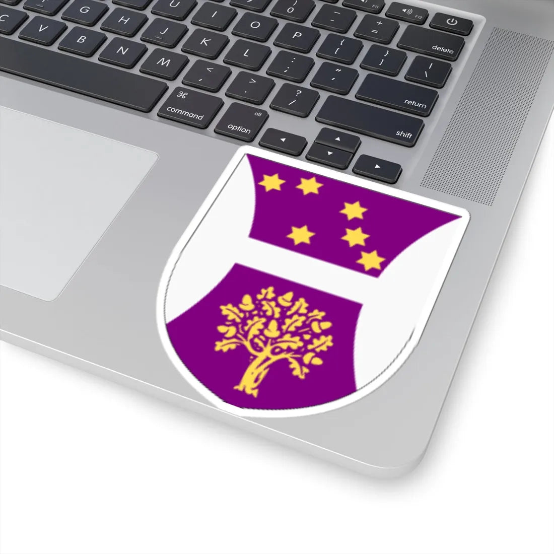 University of Hertfordshire arms (United Kingdom) (Coat of Arms) STICKER Vinyl Kiss-Cut Decal - The Sticker Space