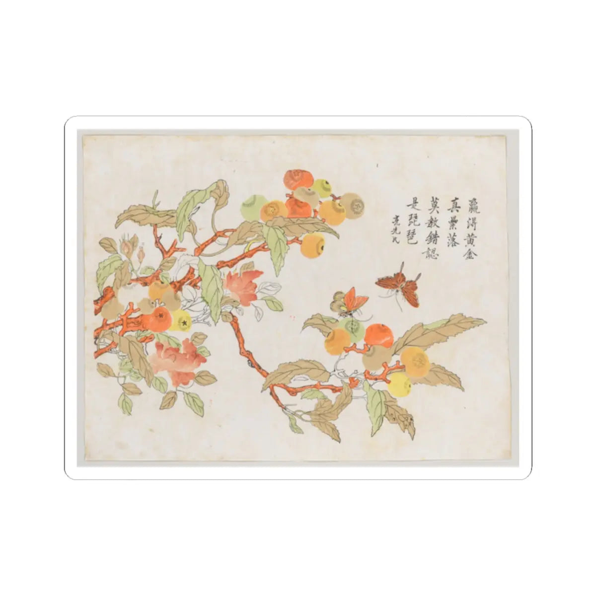SKU:TSS-STICK-NKNBTT-2X2-2 Sizes:2" × 2" Types:White