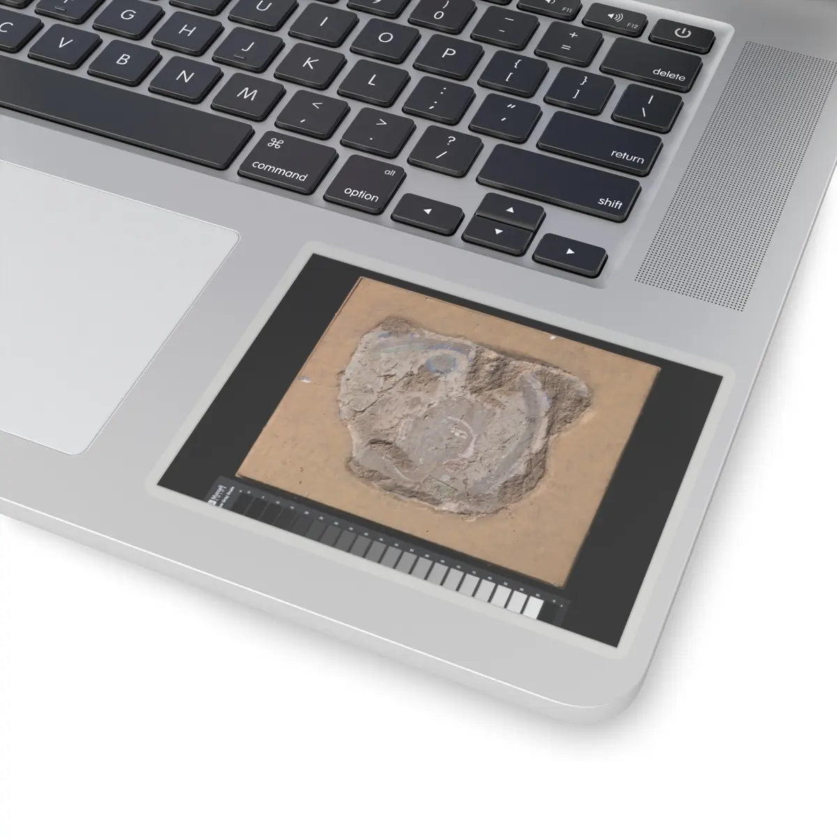 unknown - Head of a Buddhist Image - ca. 6th–7th century v1 - STICKER Vinyl Kiss-Cut Decal