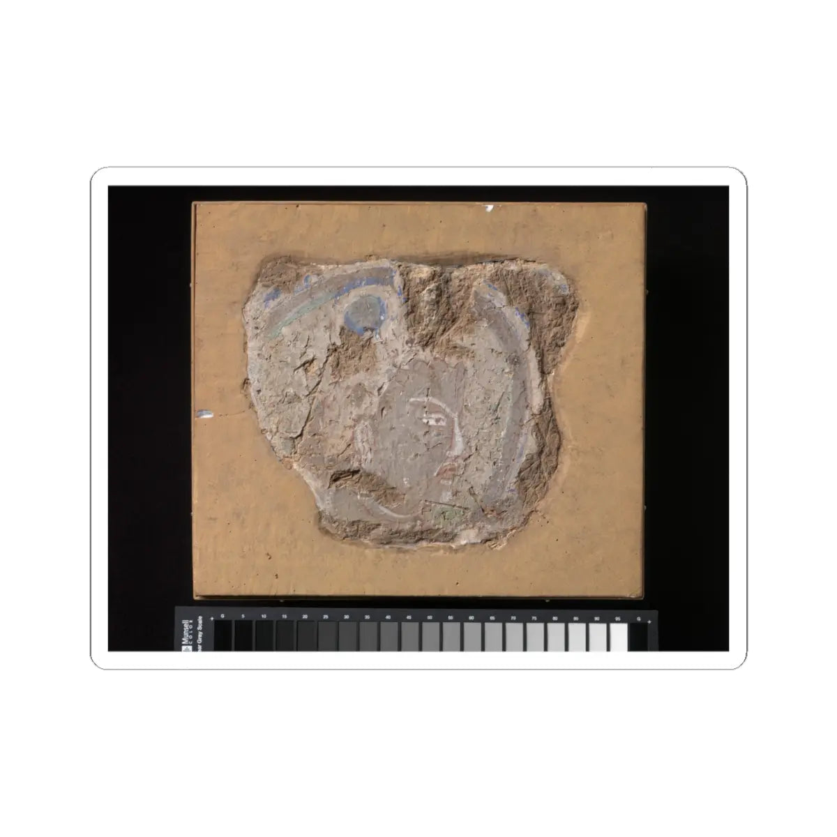 unknown - Head of a Buddhist Image - ca. 6th–7th century v1 - STICKER Vinyl Kiss-Cut Decal