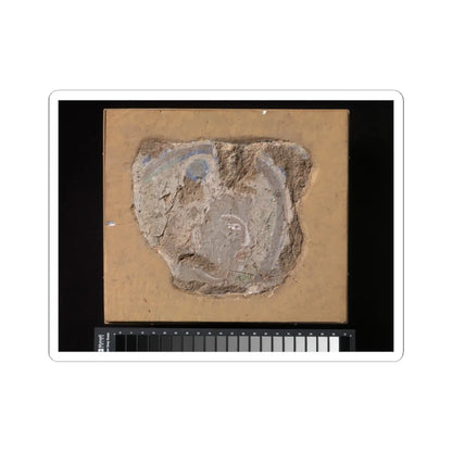 unknown - Head of a Buddhist Image - ca. 6th–7th century v1 - STICKER Vinyl Kiss-Cut Decal