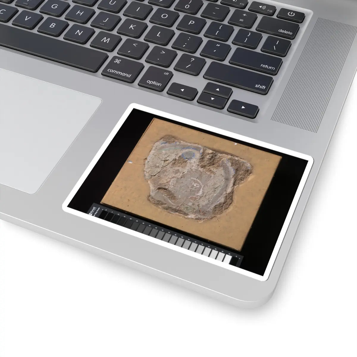 unknown - Head of a Buddhist Image - ca. 6th–7th century v1 - STICKER Vinyl Kiss-Cut Decal