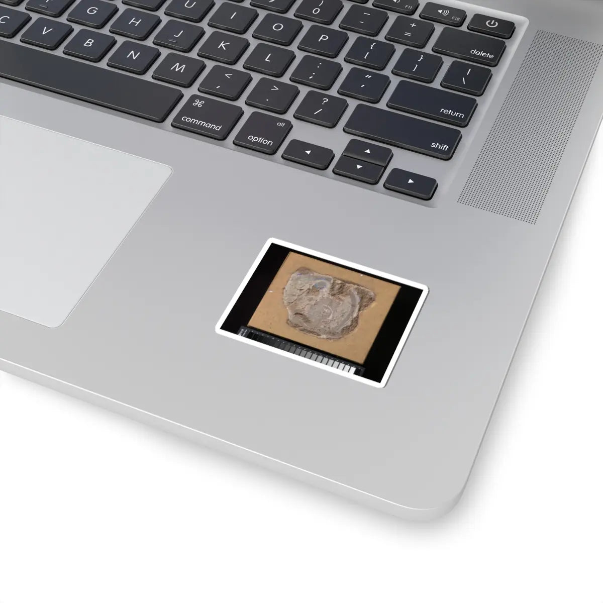 unknown - Head of a Buddhist Image - ca. 6th–7th century v1 - STICKER Vinyl Kiss-Cut Decal