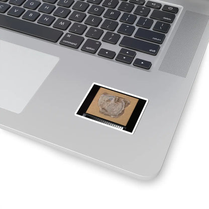 unknown - Head of a Buddhist Image - ca. 6th–7th century v1 - STICKER Vinyl Kiss-Cut Decal