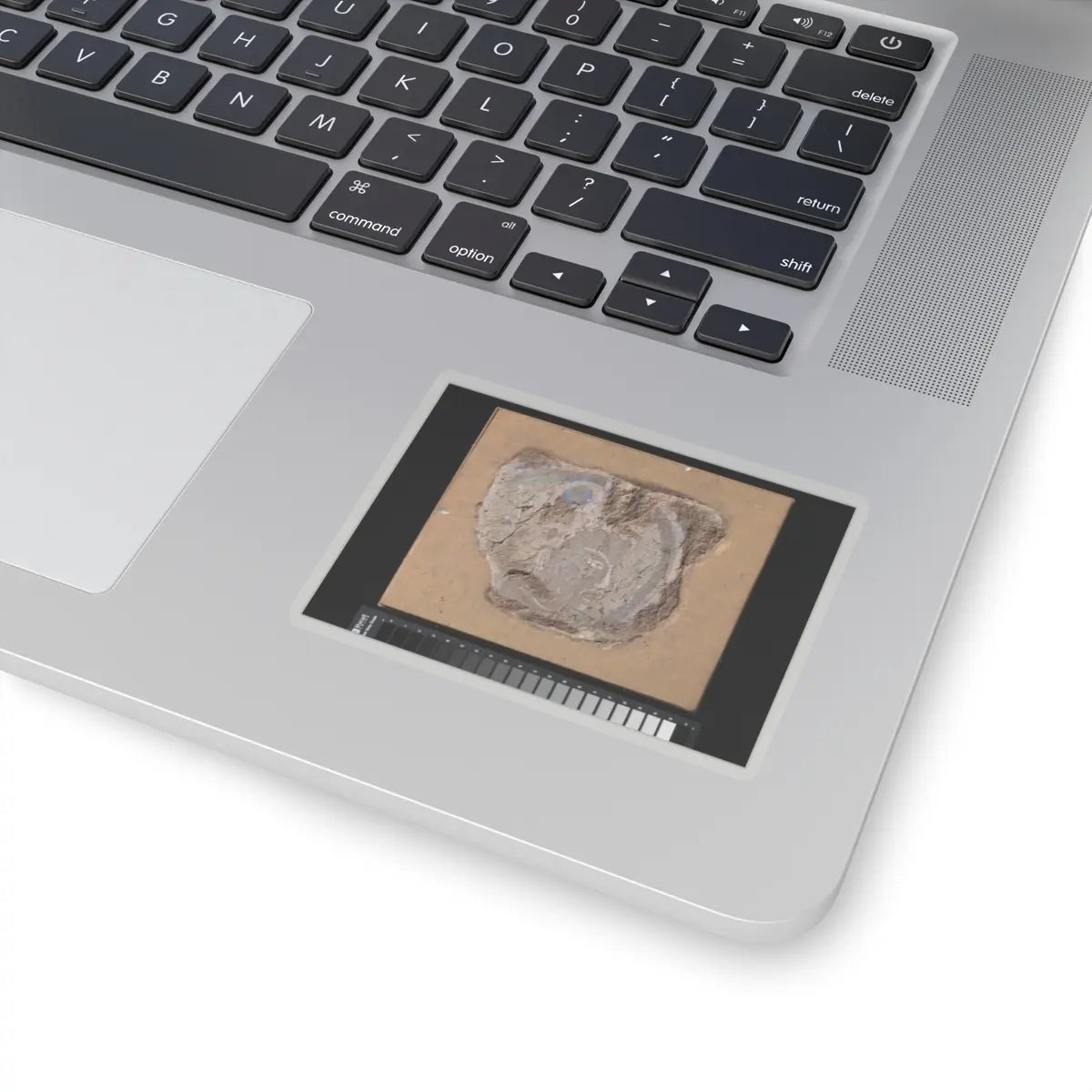 unknown - Head of a Buddhist Image - ca. 6th–7th century v1 - STICKER Vinyl Kiss-Cut Decal