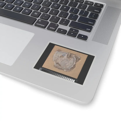 unknown - Head of a Buddhist Image - ca. 6th–7th century v1 - STICKER Vinyl Kiss-Cut Decal