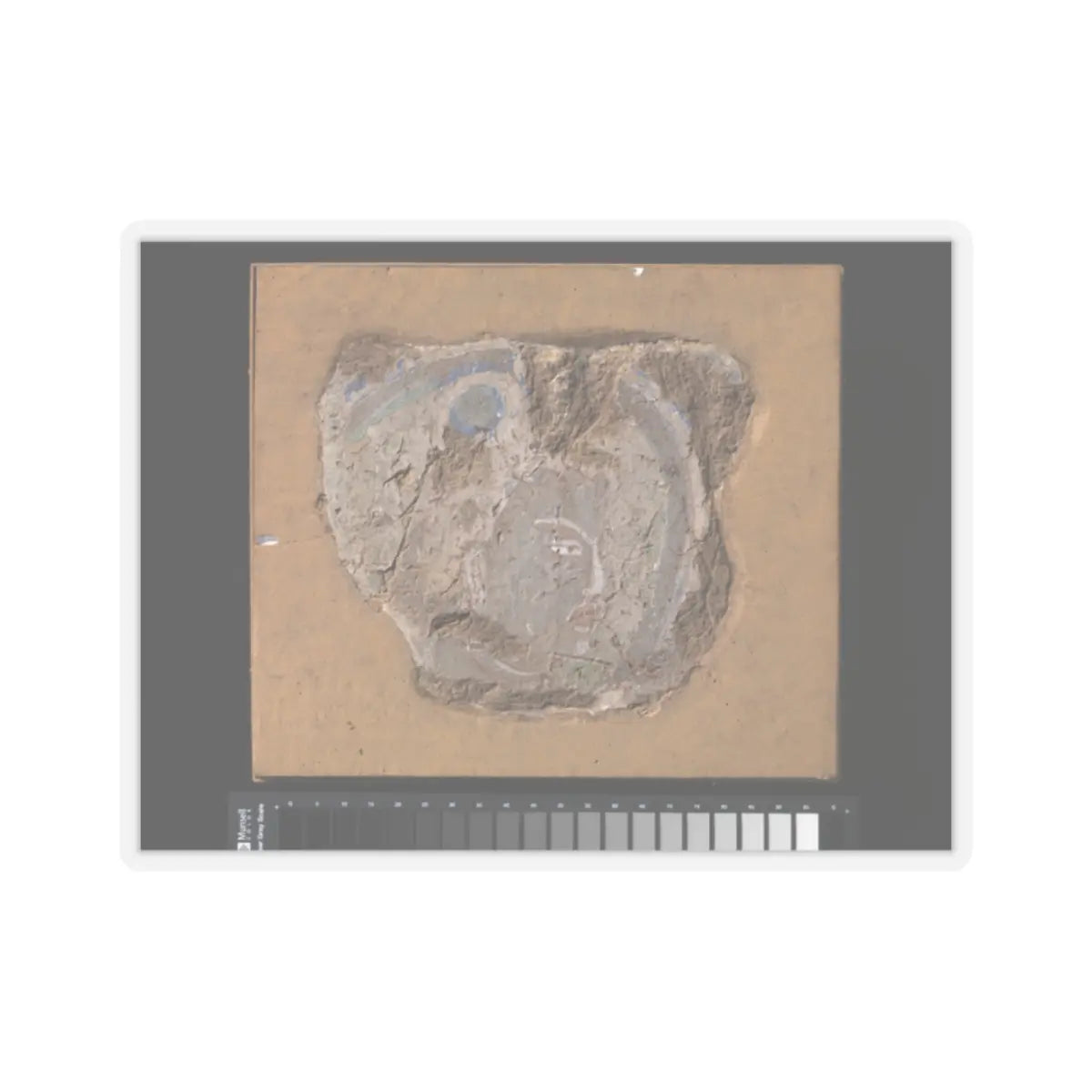 unknown - Head of a Buddhist Image - ca. 6th–7th century v1 - STICKER Vinyl Kiss-Cut Decal