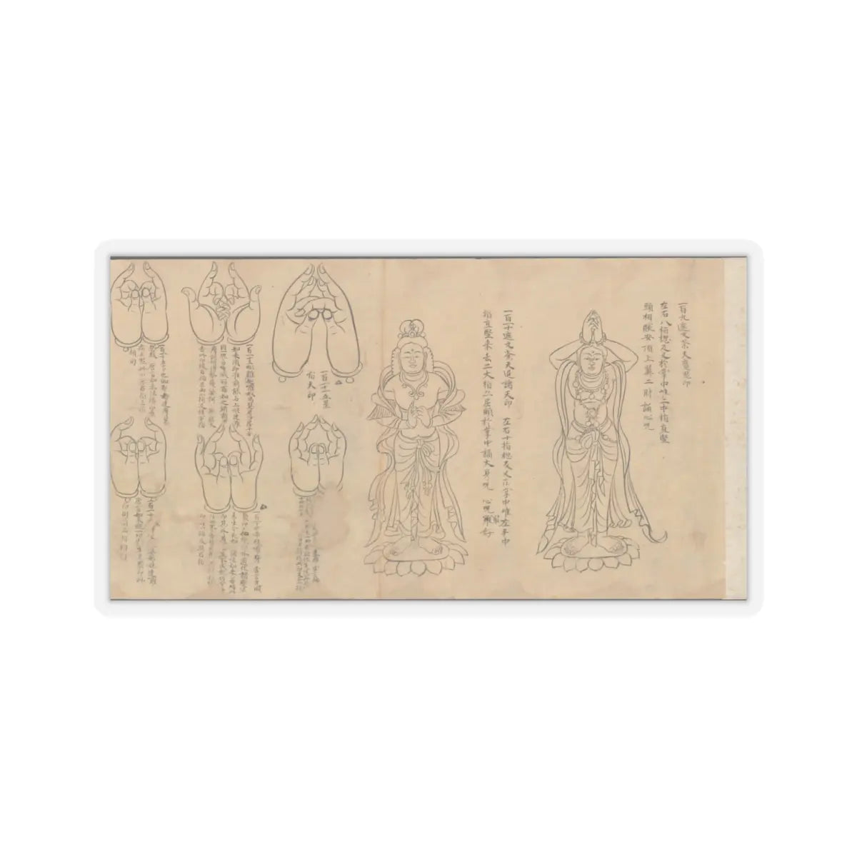 unknown - Scroll of Mudras - 11th–12th century v2 - STICKER Vinyl Kiss-Cut Decal