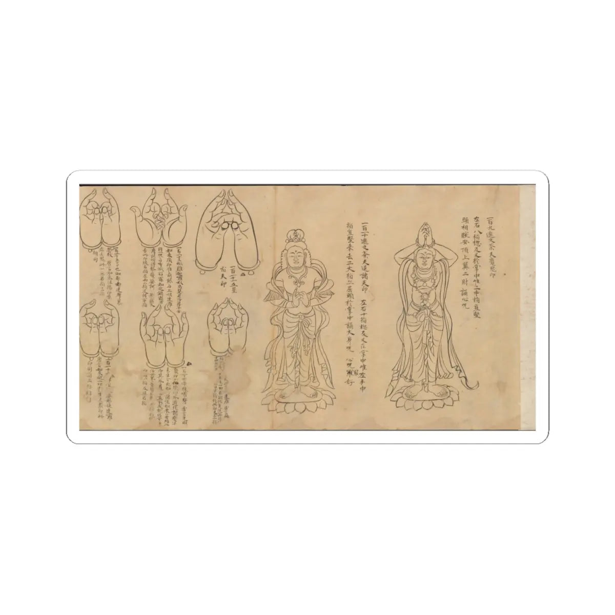 unknown - Scroll of Mudras - 11th–12th century v2 - STICKER Vinyl Kiss-Cut Decal