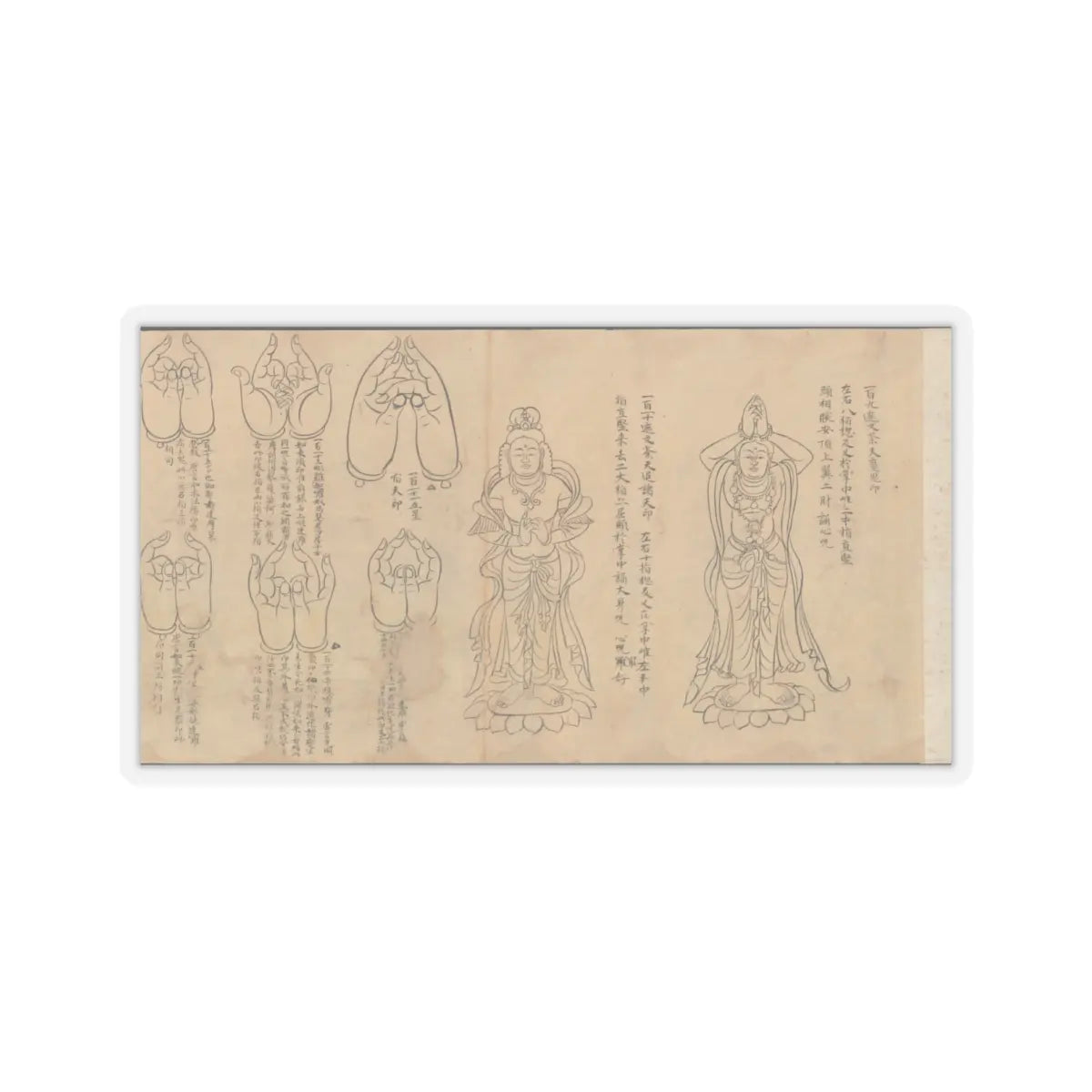 unknown - Scroll of Mudras - 11th–12th century v2 - STICKER Vinyl Kiss-Cut Decal
