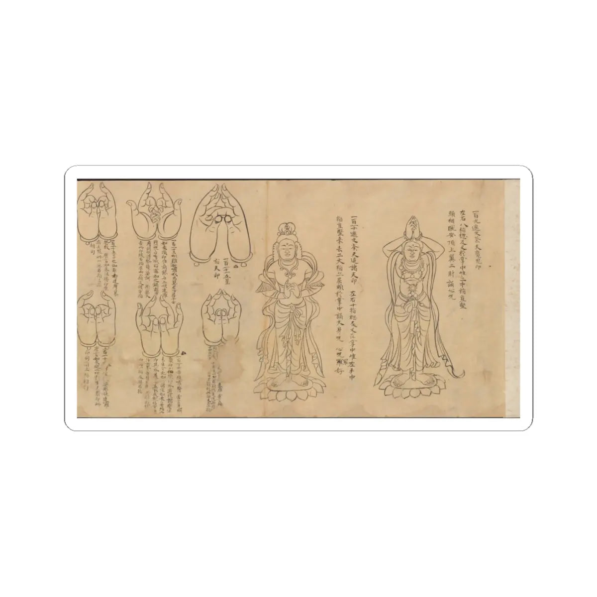 unknown - Scroll of Mudras - 11th–12th century v2 - STICKER Vinyl Kiss-Cut Decal