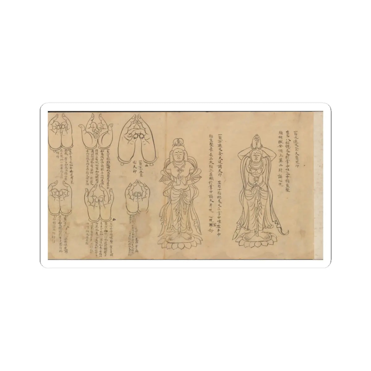 unknown - Scroll of Mudras - 11th–12th century v2 - STICKER Vinyl Kiss-Cut Decal