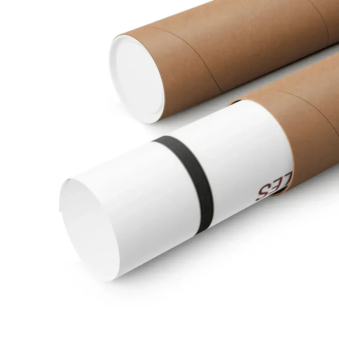 UNWILLING LOVERS 1977 - Paper Movie Poster - The Sticker Space