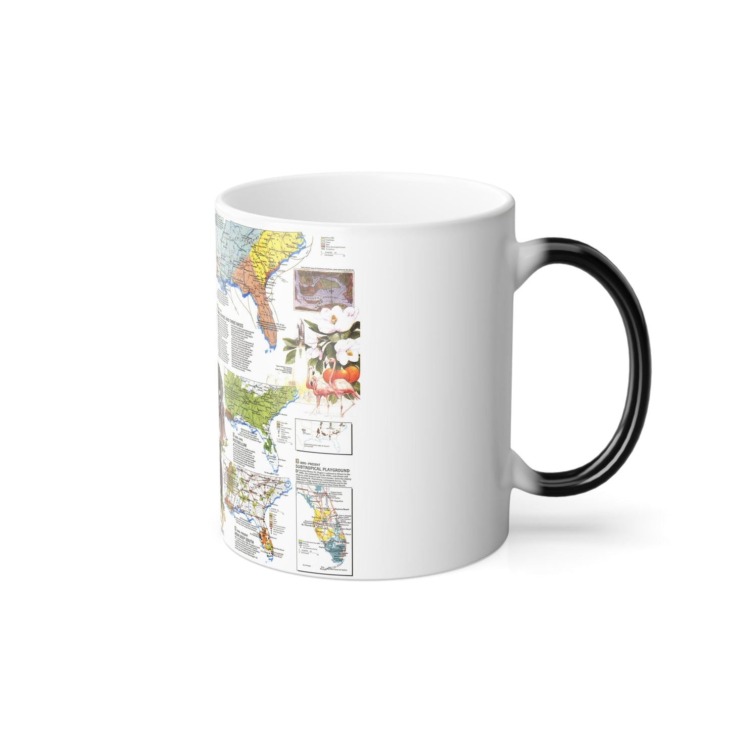 USA - Deep South 2 (1983) (Map) Color Changing Mug 11oz-11oz-The Sticker Space