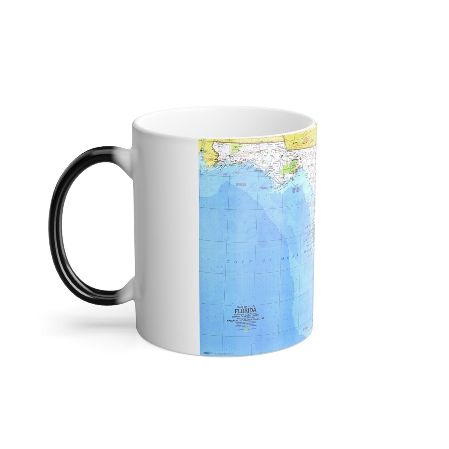 USA - Florida 1 (1973) (Map) Color Changing Mug 11oz-11oz-The Sticker Space