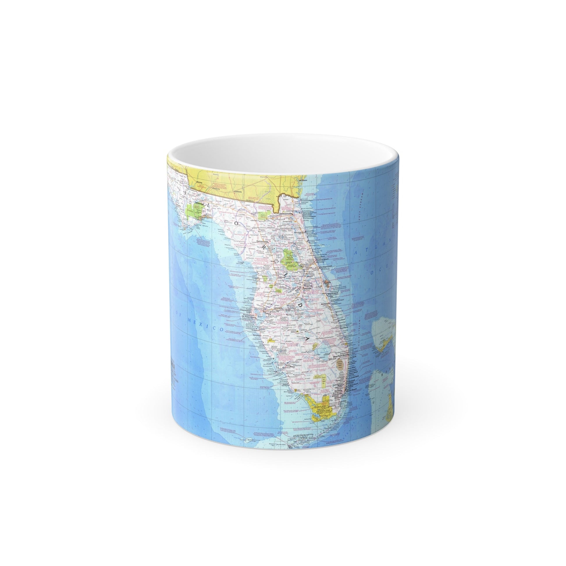 USA - Florida 1 (1973) (Map) Color Changing Mug 11oz-11oz-The Sticker Space