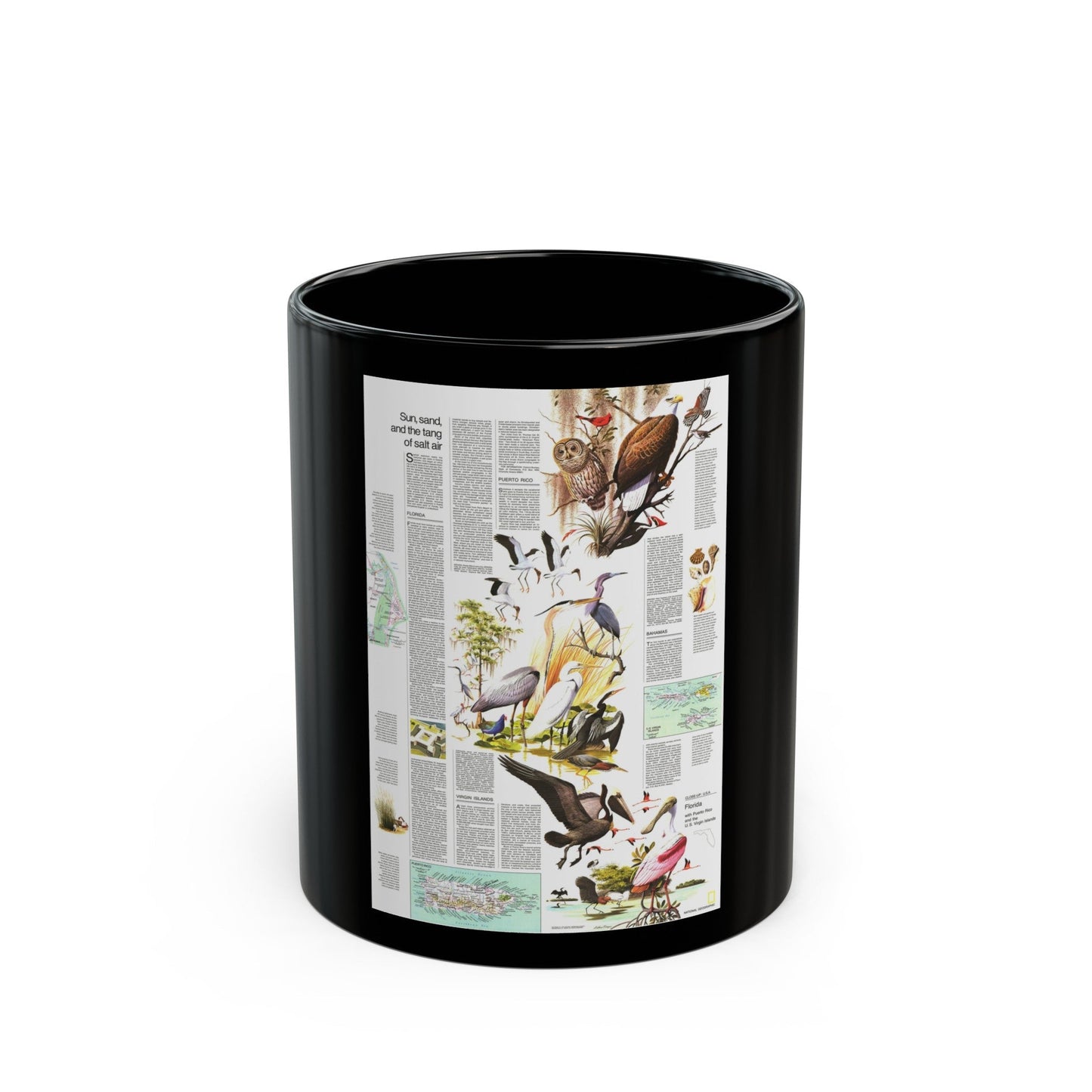 USA - Florida 2 (1973) (Map) Black Coffee Mug-11oz-The Sticker Space