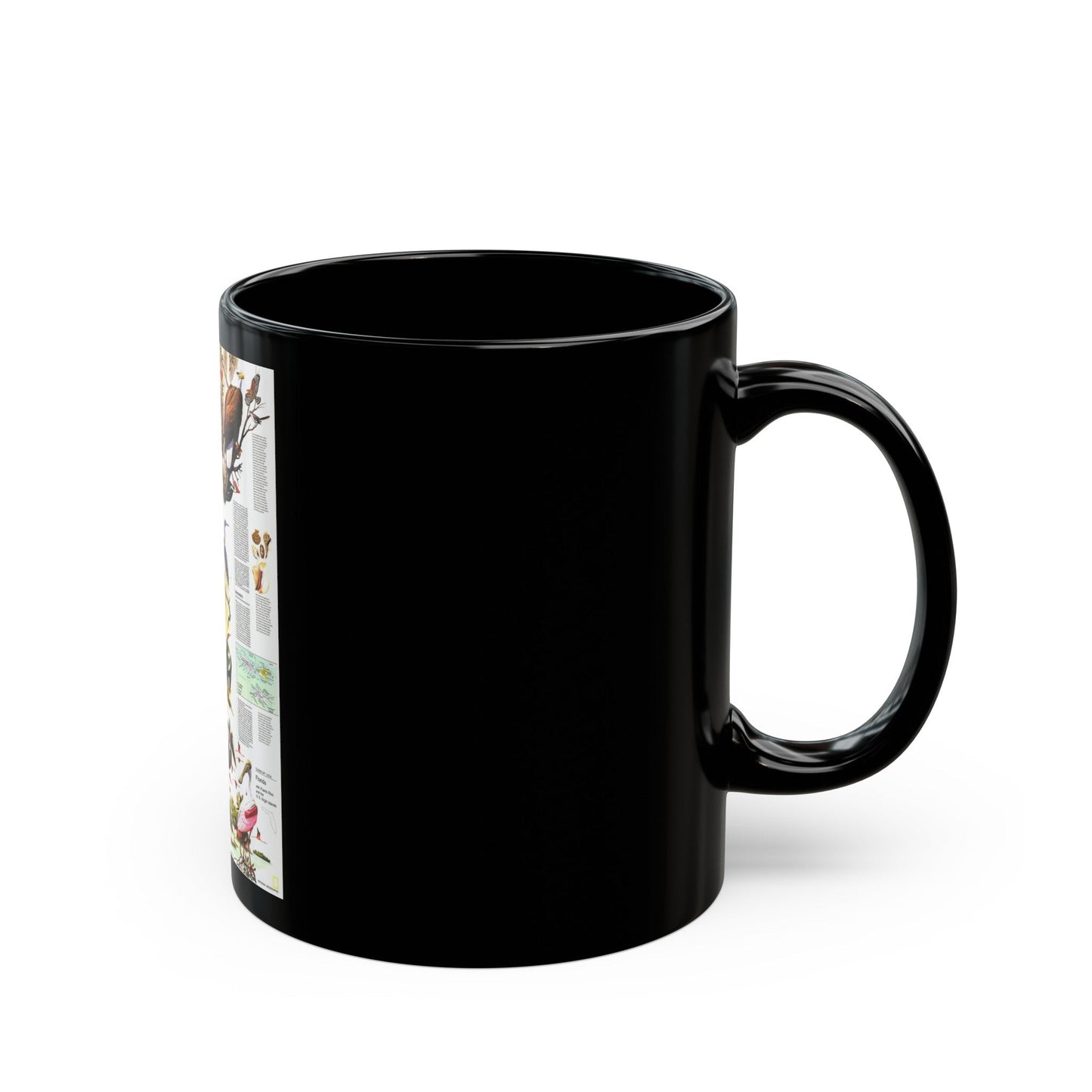 USA - Florida 2 (1973) (Map) Black Coffee Mug-The Sticker Space