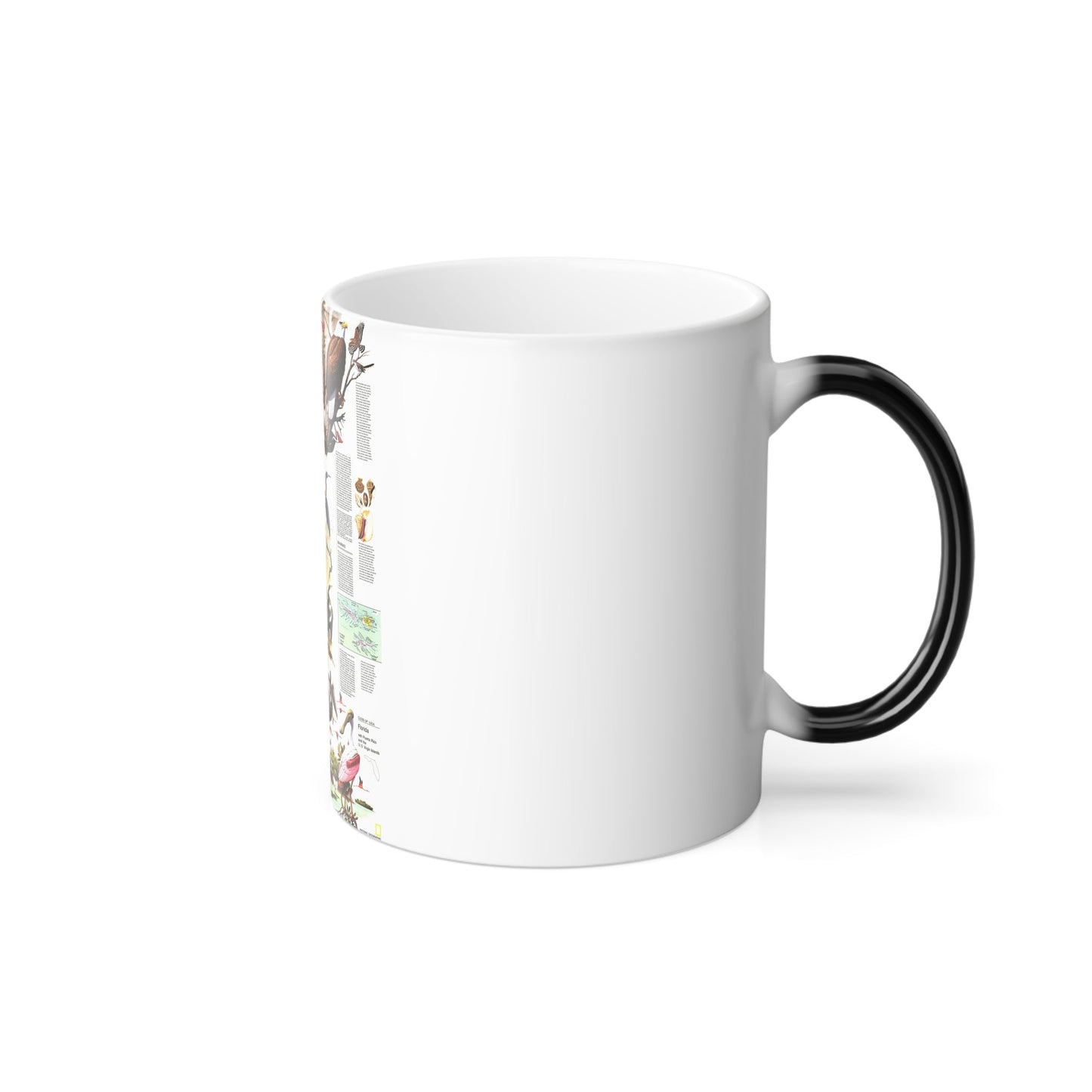 USA - Florida 2 (1973) (Map) Color Changing Mug 11oz-11oz-The Sticker Space