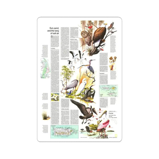 USA - Florida 2 (1973) (Map) STICKER Vinyl Kiss-Cut Decal 2 Inch White - The Sticker Space