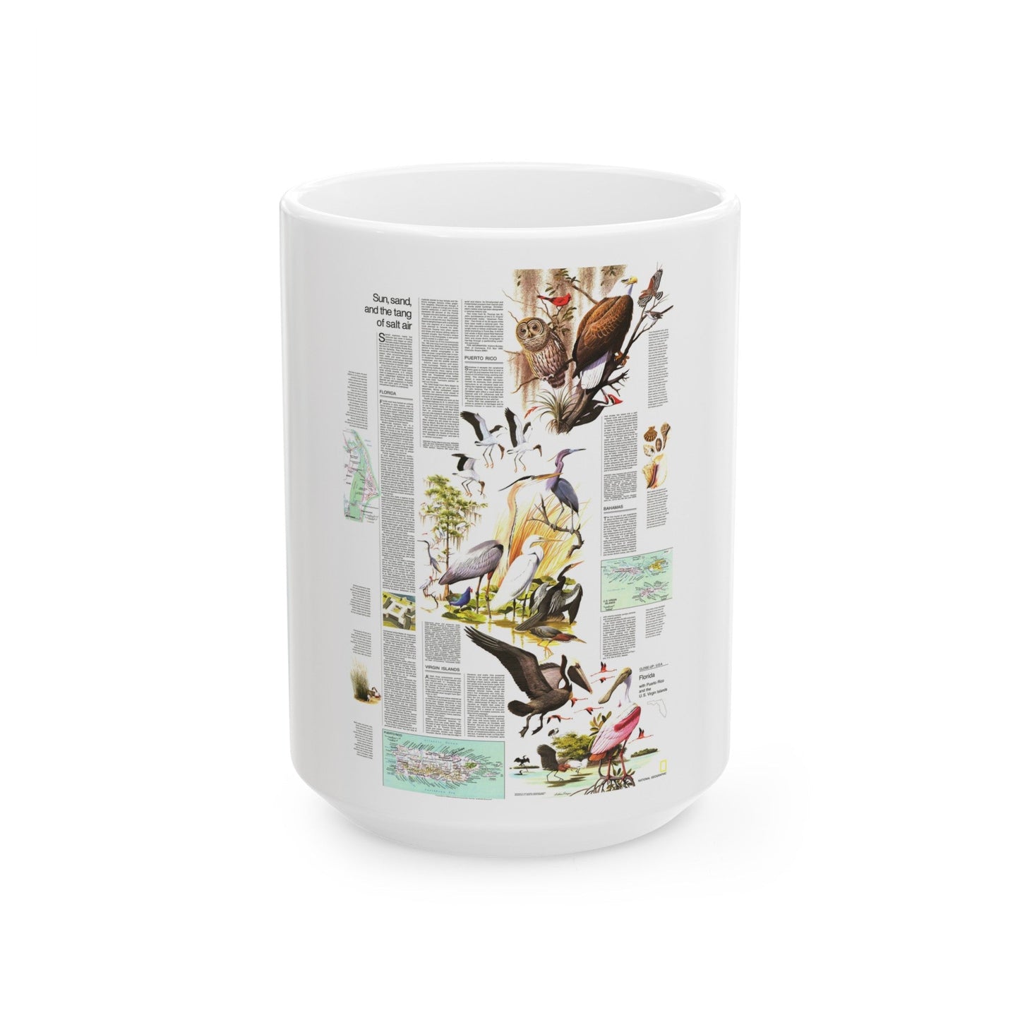 USA - Florida 2 (1973) (Map) White Coffee Mug-15oz-The Sticker Space