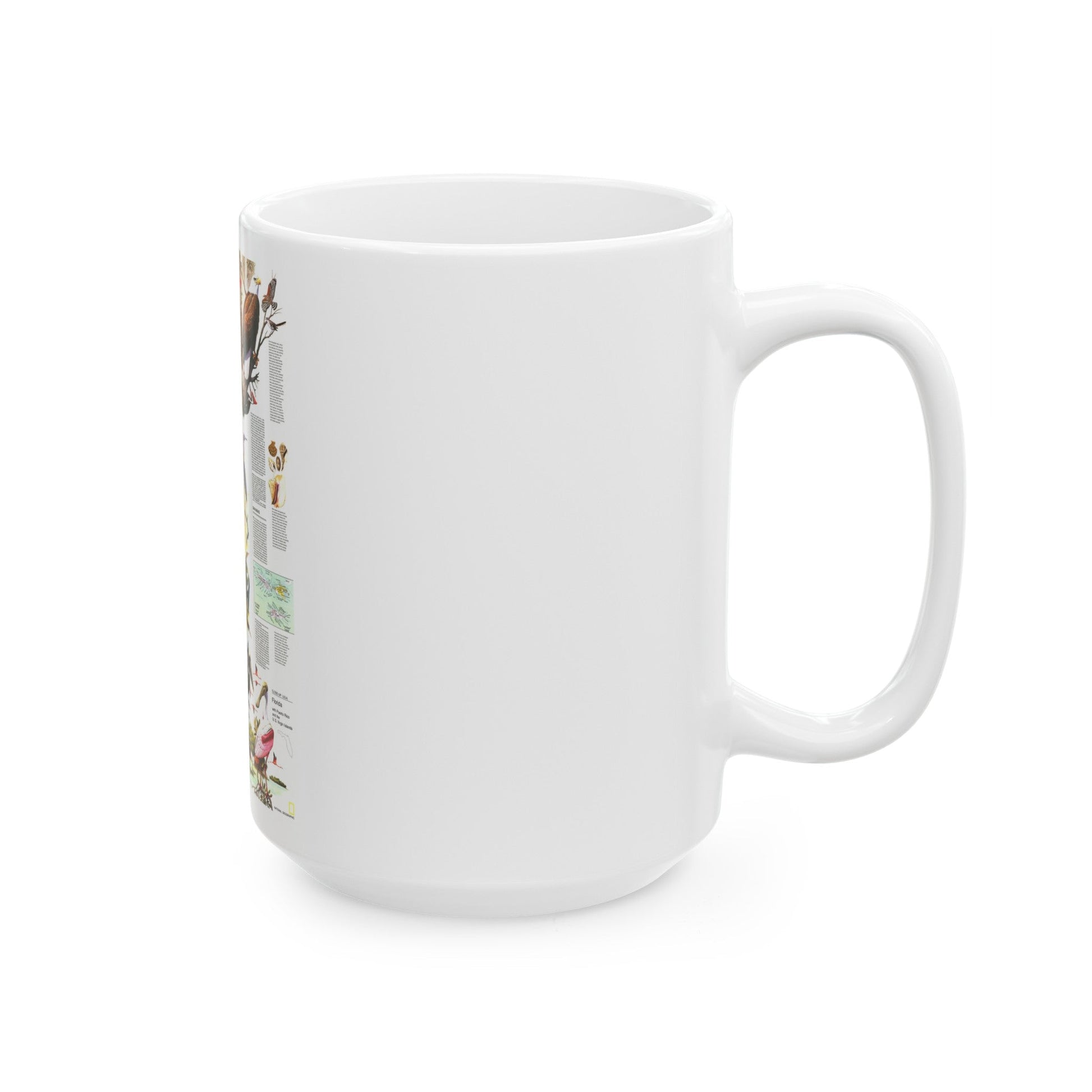 USA - Florida 2 (1973) (Map) White Coffee Mug-The Sticker Space