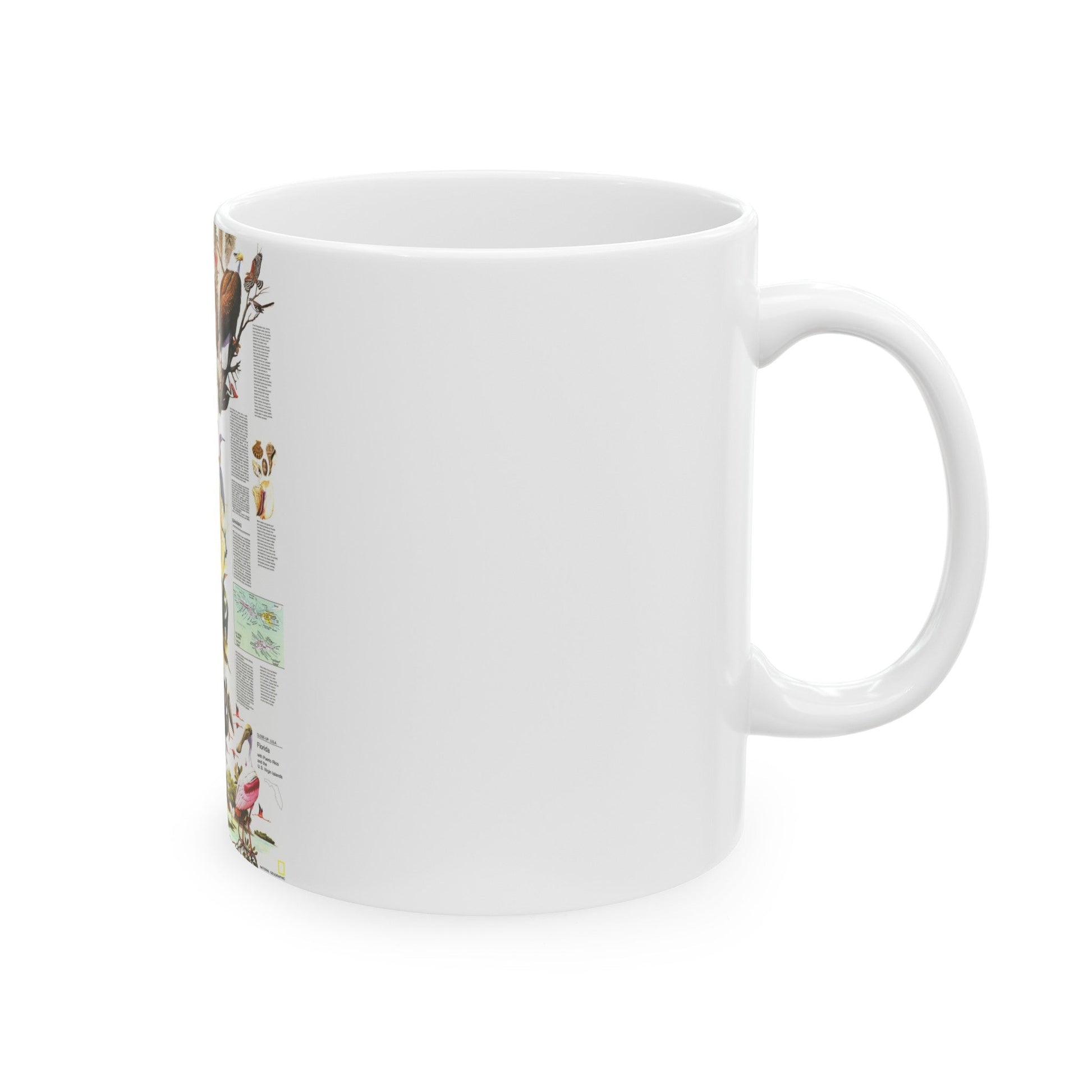 USA - Florida 2 (1973) (Map) White Coffee Mug-The Sticker Space