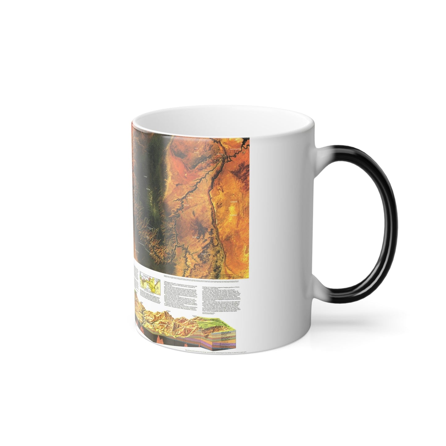 USA - Grand Canyon of the Colorado (1978) (Map) Color Changing Mug 11oz-11oz-The Sticker Space