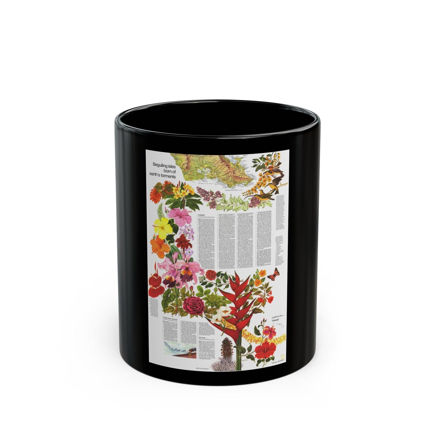 USA - Hawaii, Beguiling Isles (1976) (Map) Black Coffee Mug-11oz-The Sticker Space