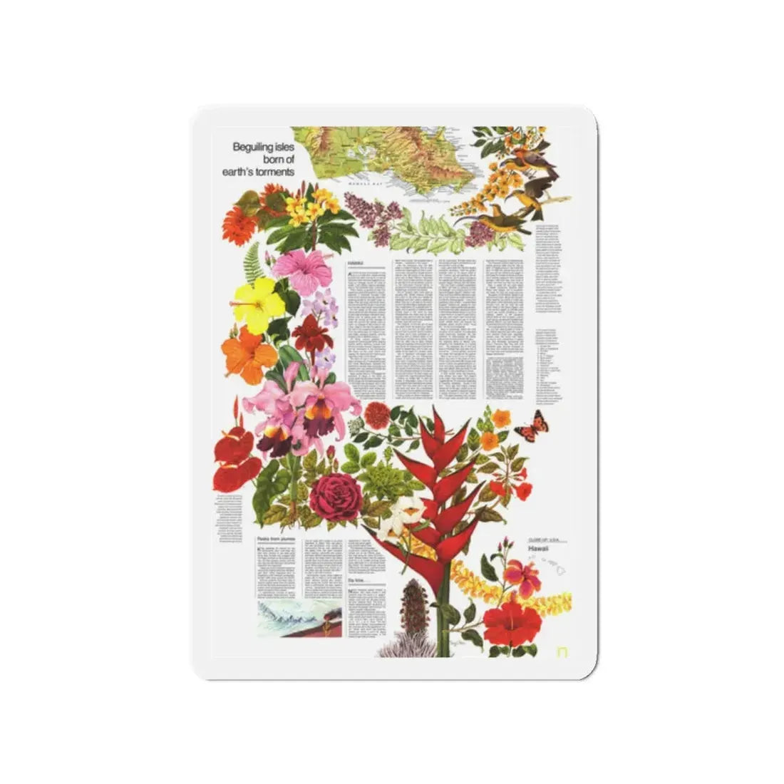 USA - Hawaii, Beguiling Isles (1976) (Map) Refrigerator Magnet 2 Inch - The Sticker Space