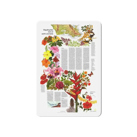 USA - Hawaii, Beguiling Isles (1976) (Map) Refrigerator Magnet 6 Inch - The Sticker Space
