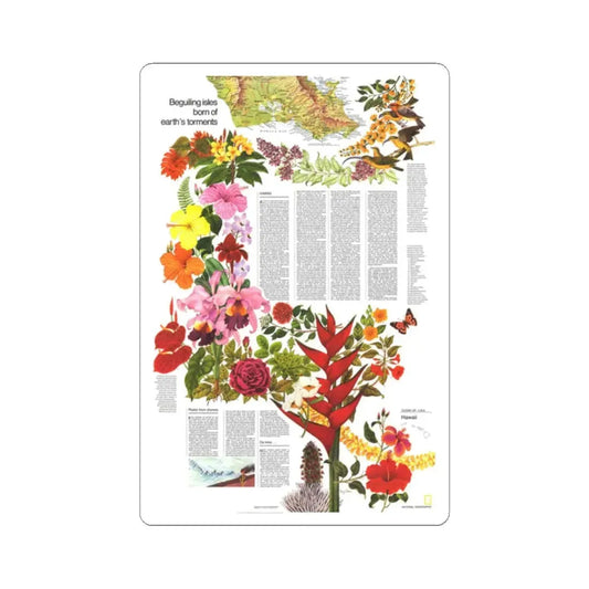 USA - Hawaii, Beguiling Isles (1976) (Map) STICKER Vinyl Kiss-Cut Decal 2 Inch White - The Sticker Space