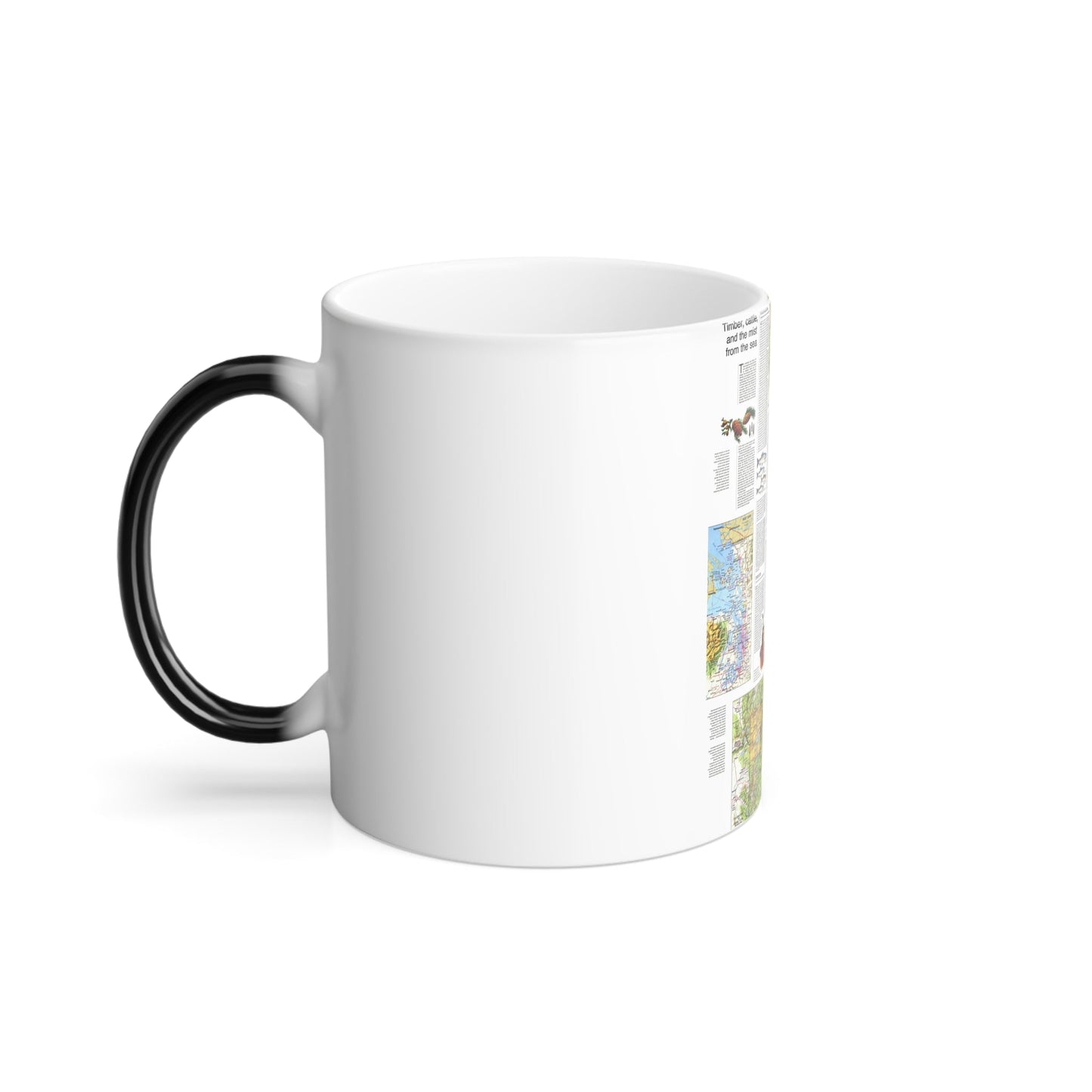 USA - Northwest 2 (1973) (Map) Color Changing Mug 11oz-11oz-The Sticker Space