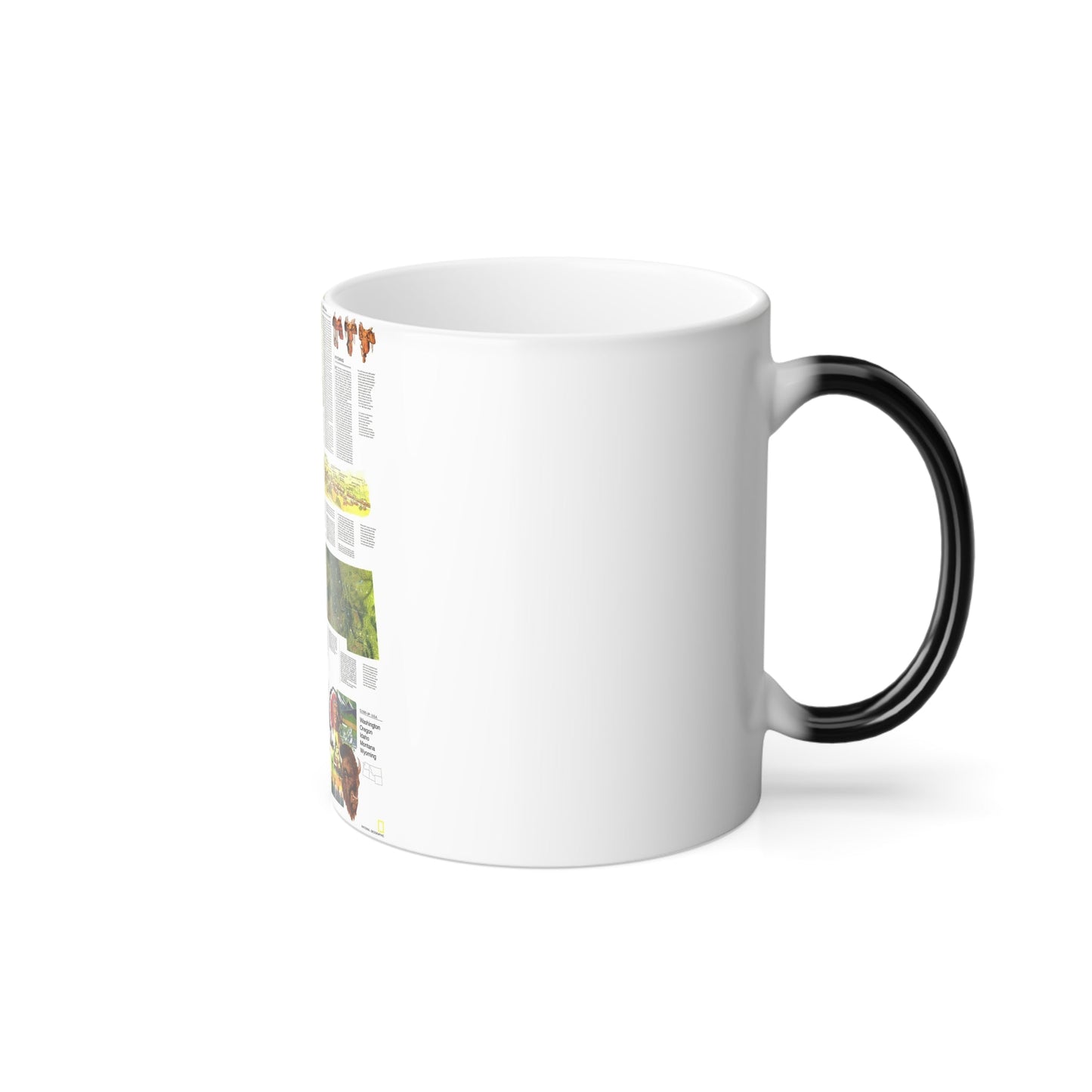 USA - Northwest 2 (1973) (Map) Color Changing Mug 11oz-11oz-The Sticker Space