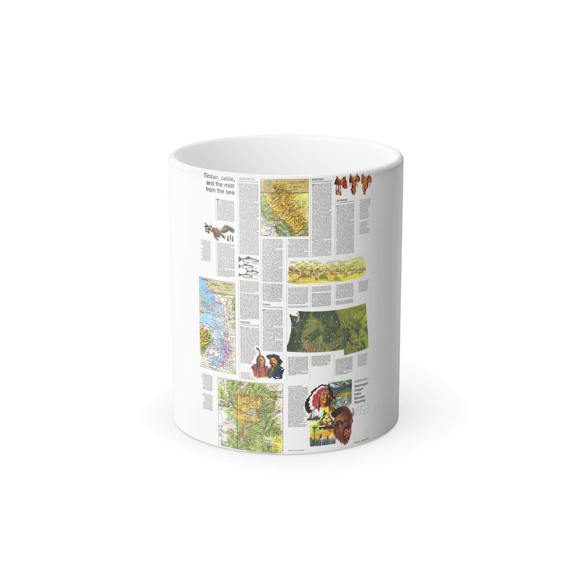 USA - Northwest 2 (1973) (Map) Color Changing Mug 11oz-11oz-The Sticker Space