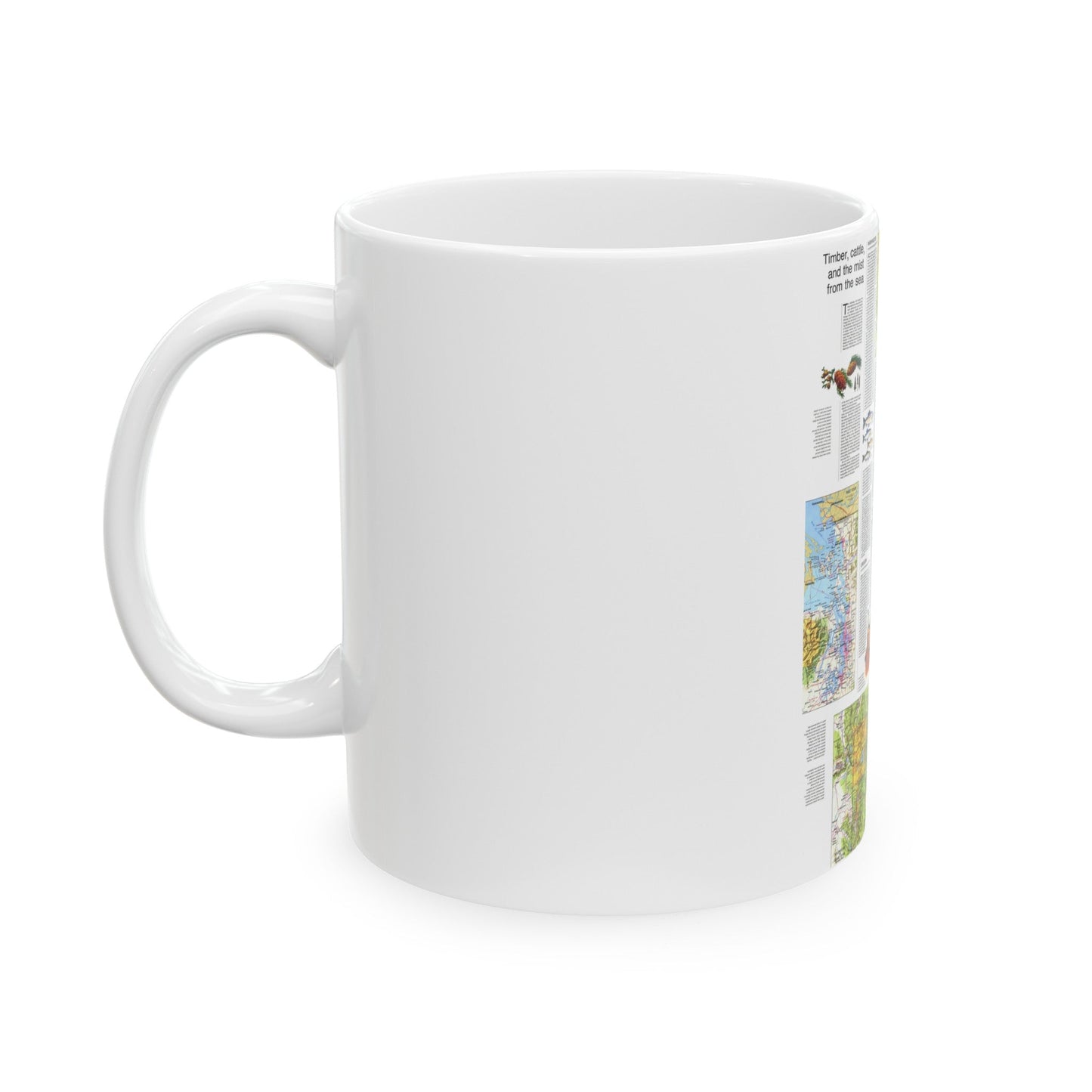 USA - Northwest 2 (1973) (Map) White Coffee Mug-The Sticker Space