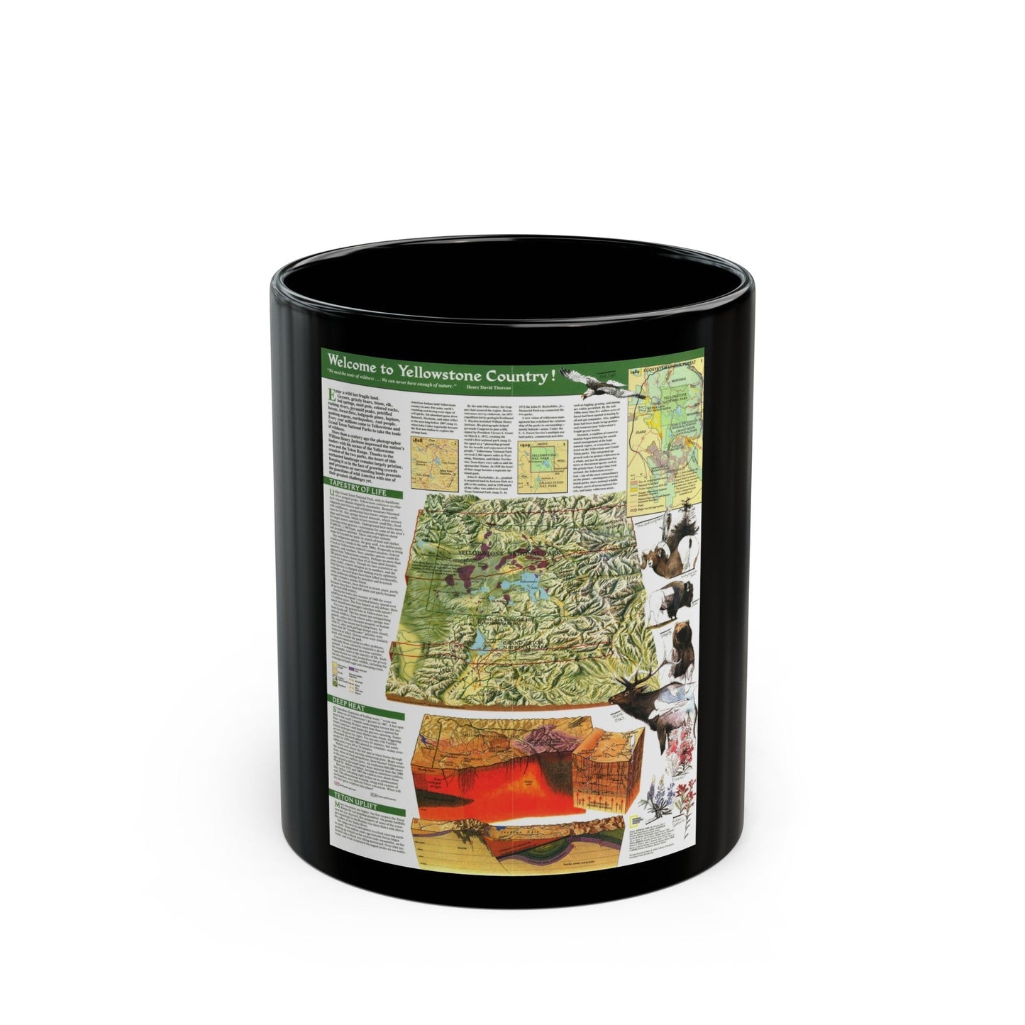 USA - Yellowstone and Grand Teton 2 (1989) (Map) Black Coffee Mug-11oz-The Sticker Space