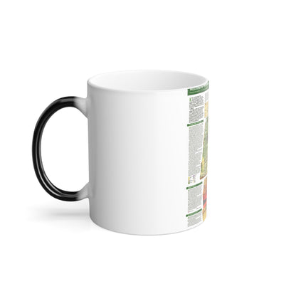 USA - Yellowstone and Grand Teton 2 (1989) (Map) Color Changing Mug 11oz-11oz-The Sticker Space