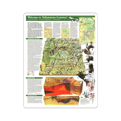 USA - Yellowstone and Grand Teton 2 (1989) (Map) STICKER Vinyl Kiss-Cut Decal 4 Inch White - The Sticker Space