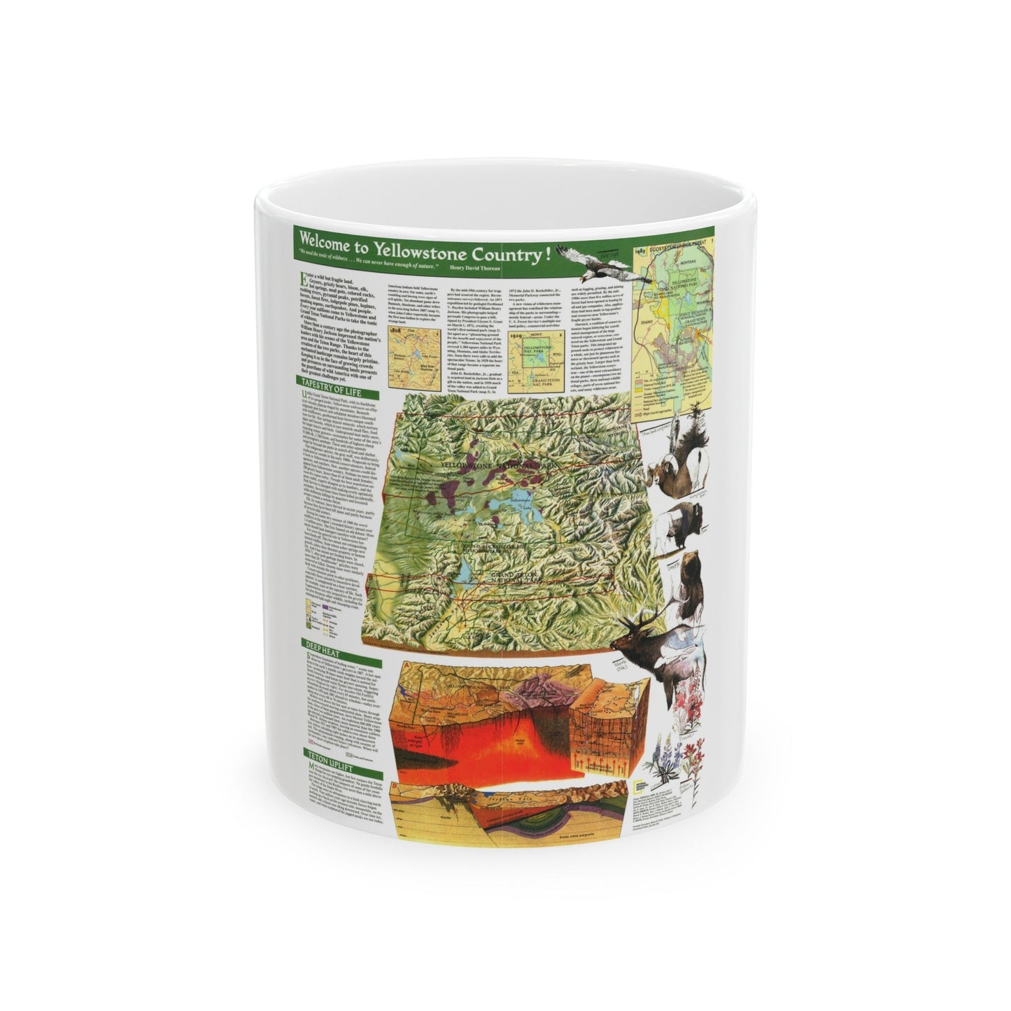 USA - Yellowstone and Grand Teton 2 (1989) (Map) White Coffee Mug-11oz-The Sticker Space