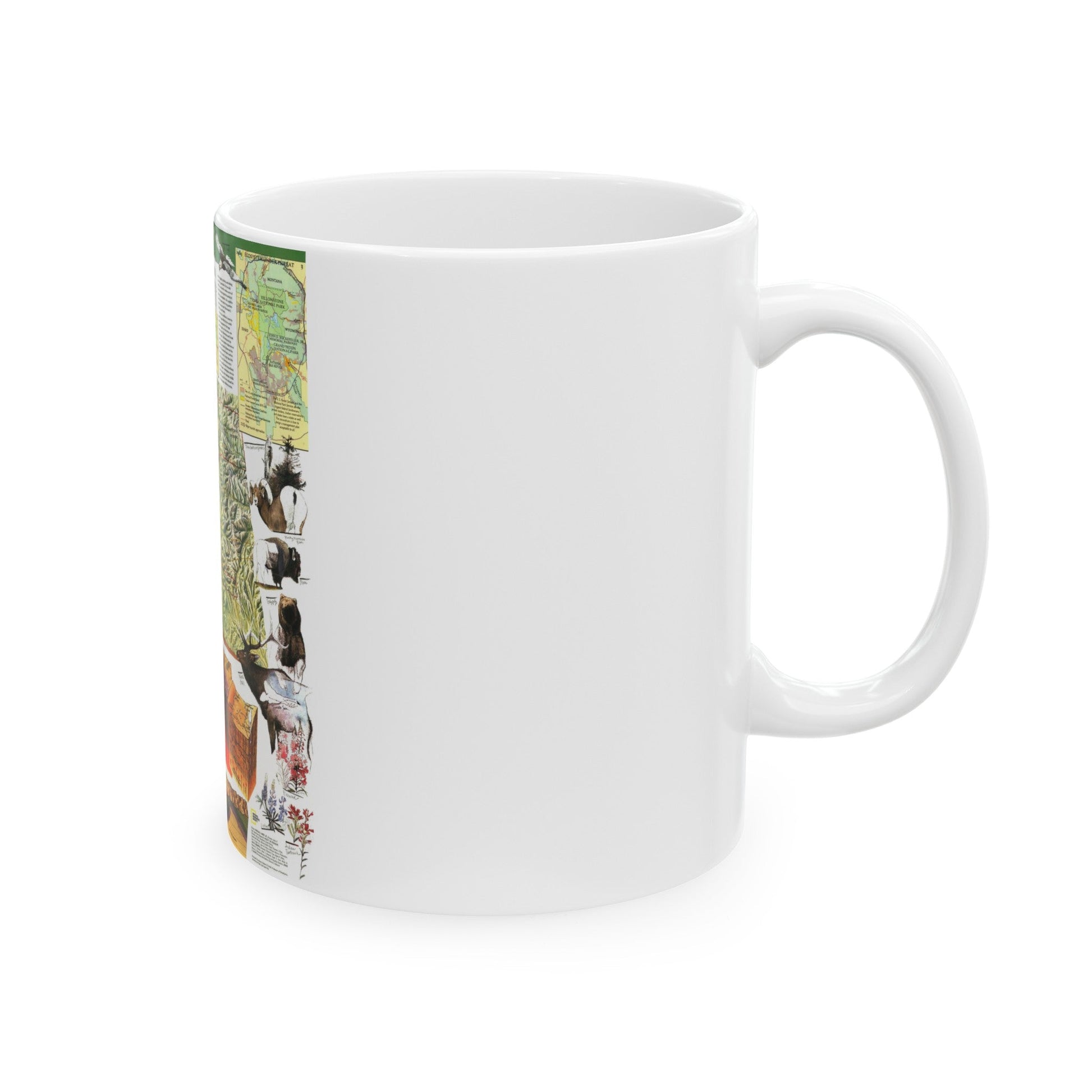 USA - Yellowstone and Grand Teton 2 (1989) (Map) White Coffee Mug-The Sticker Space