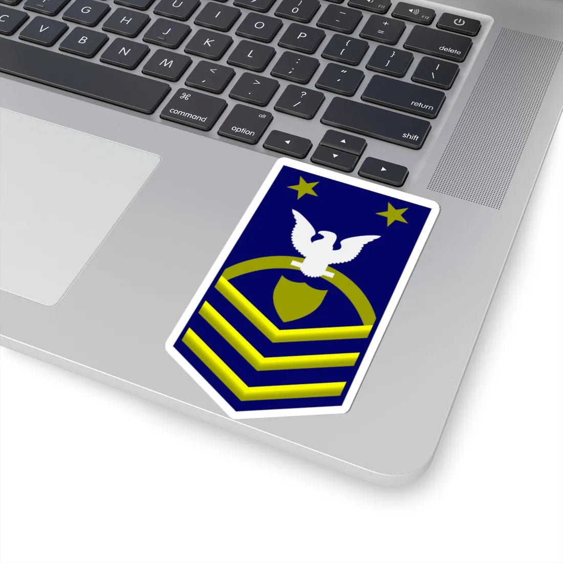 USCG MCPOCG reserve (United States) (Military Rank) STICKER Vinyl Kiss-Cut Decal - The Sticker Space