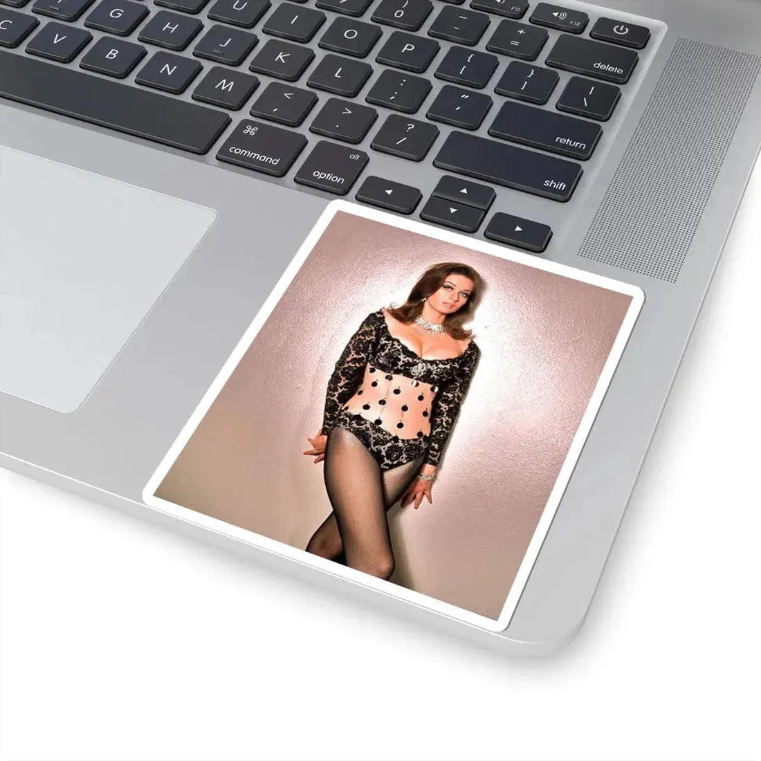 Valerie Leon #55 (Vintage Female Icon) STICKER Vinyl Kiss-Cut Decal - The Sticker Space