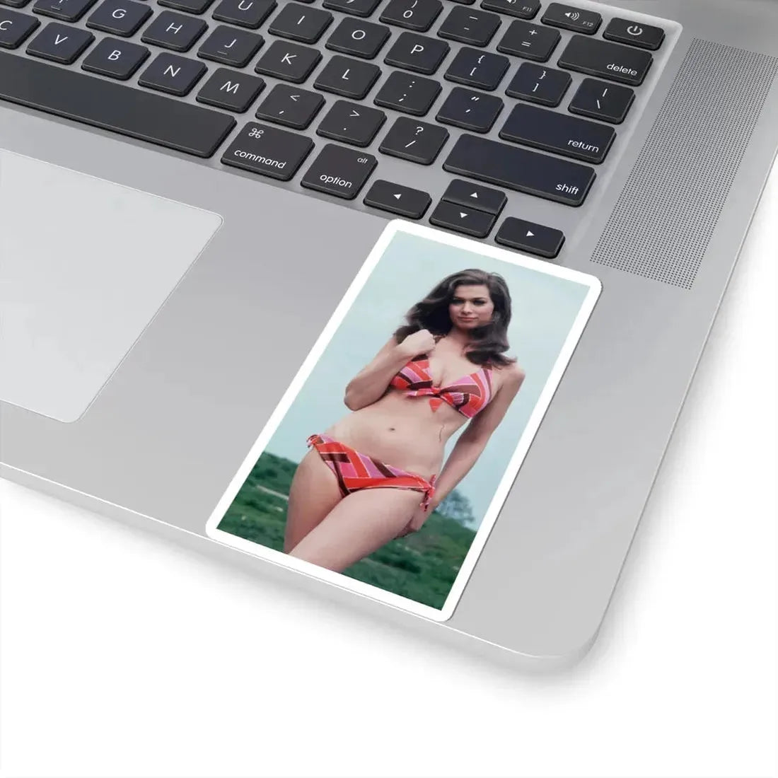 Valerie Leon #58 (Vintage Female Icon) STICKER Vinyl Kiss-Cut Decal - The Sticker Space