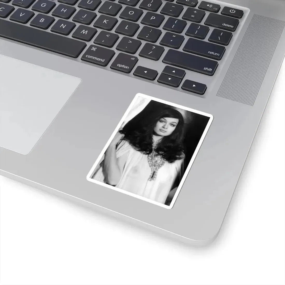 Valerie Leon #65 (Vintage Female Icon) STICKER Vinyl Kiss-Cut Decal - The Sticker Space