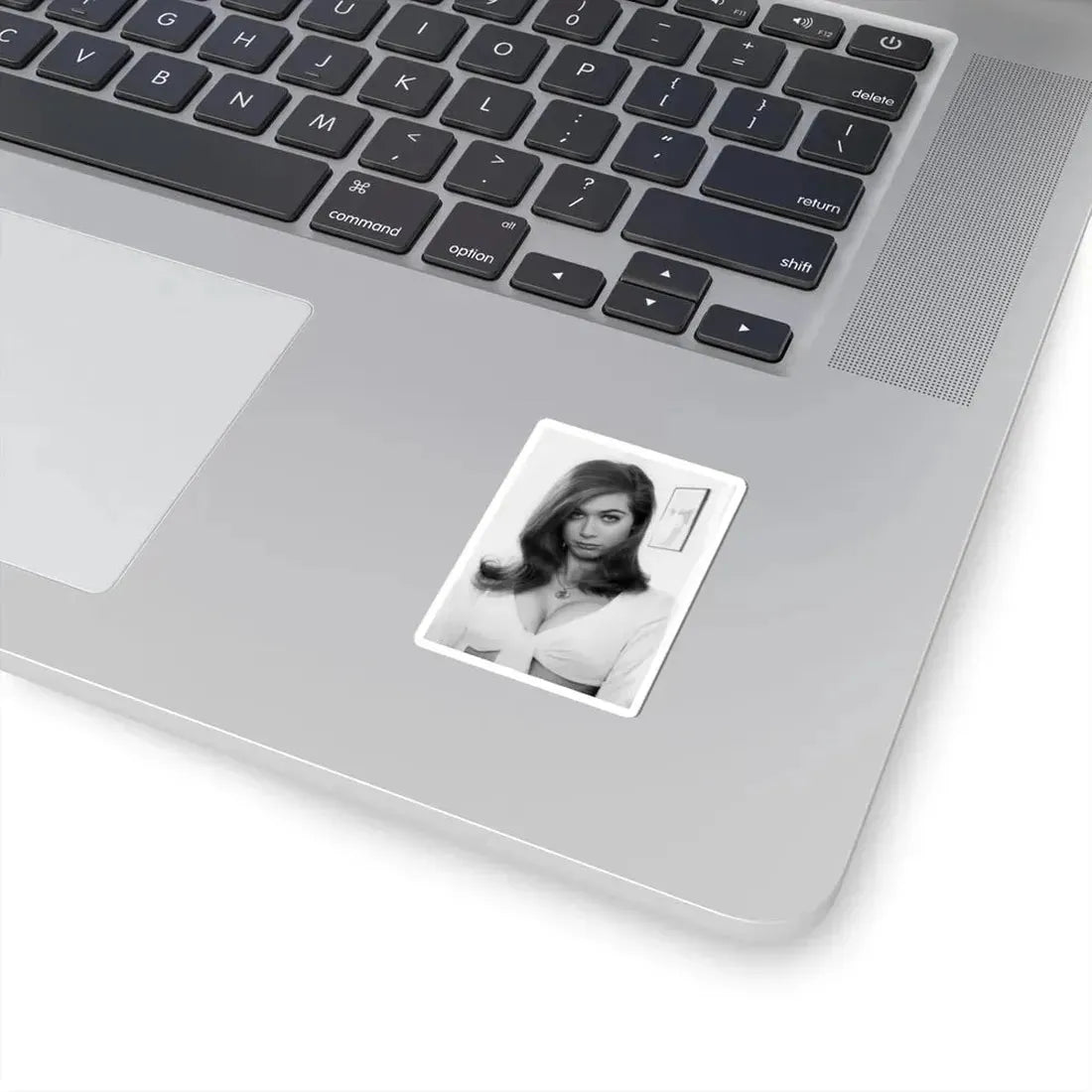 Valerie Leon #67 (Vintage Female Icon) STICKER Vinyl Kiss-Cut Decal - The Sticker Space