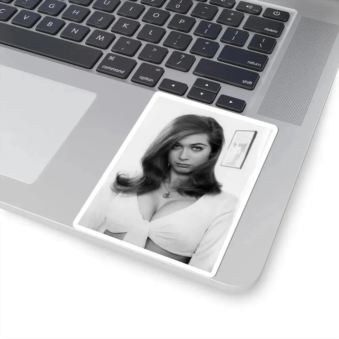 Valerie Leon #67 (Vintage Female Icon) STICKER Vinyl Kiss-Cut Decal - The Sticker Space