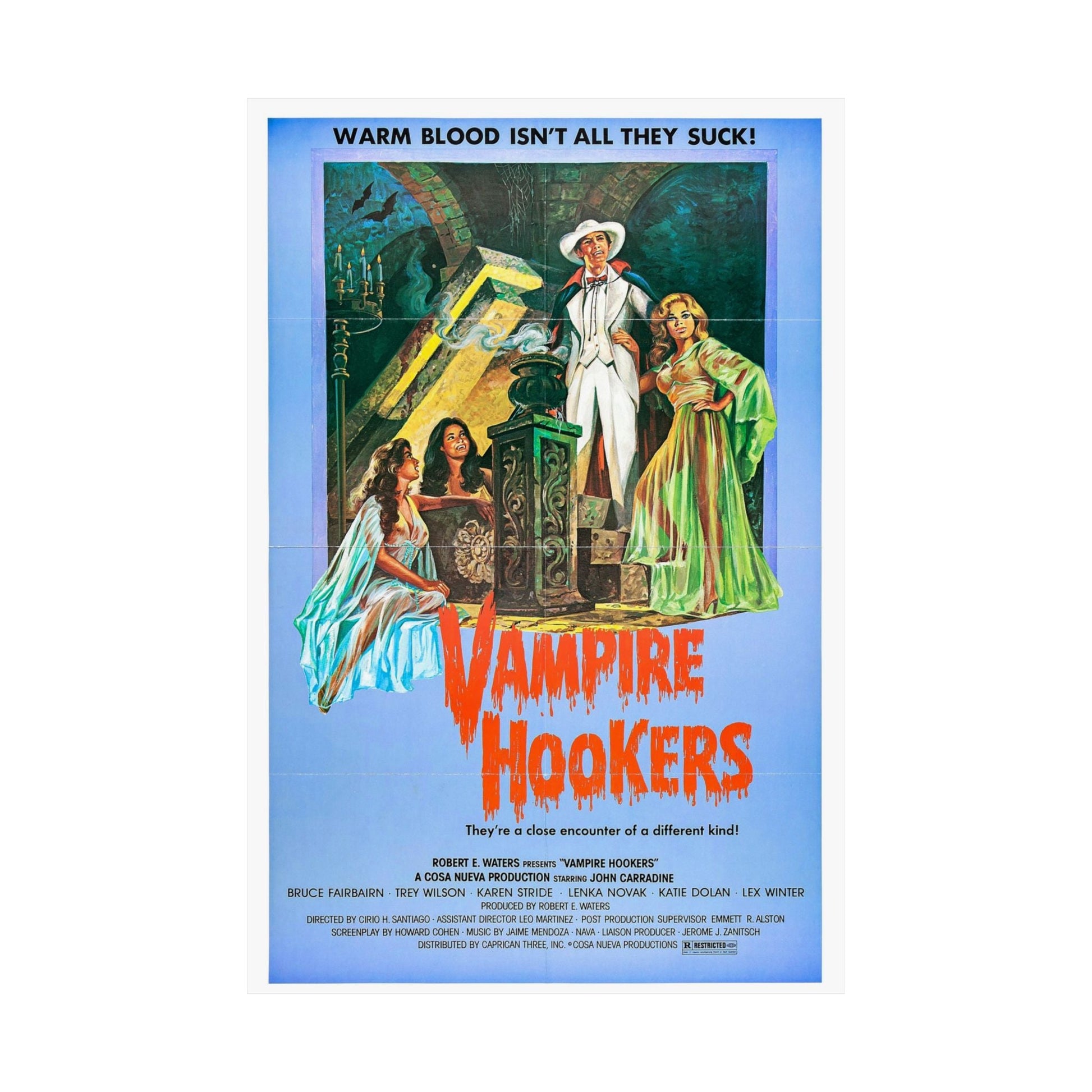 VAMPIRE HOOKERS 1978 - Paper Movie Poster-The Sticker Space