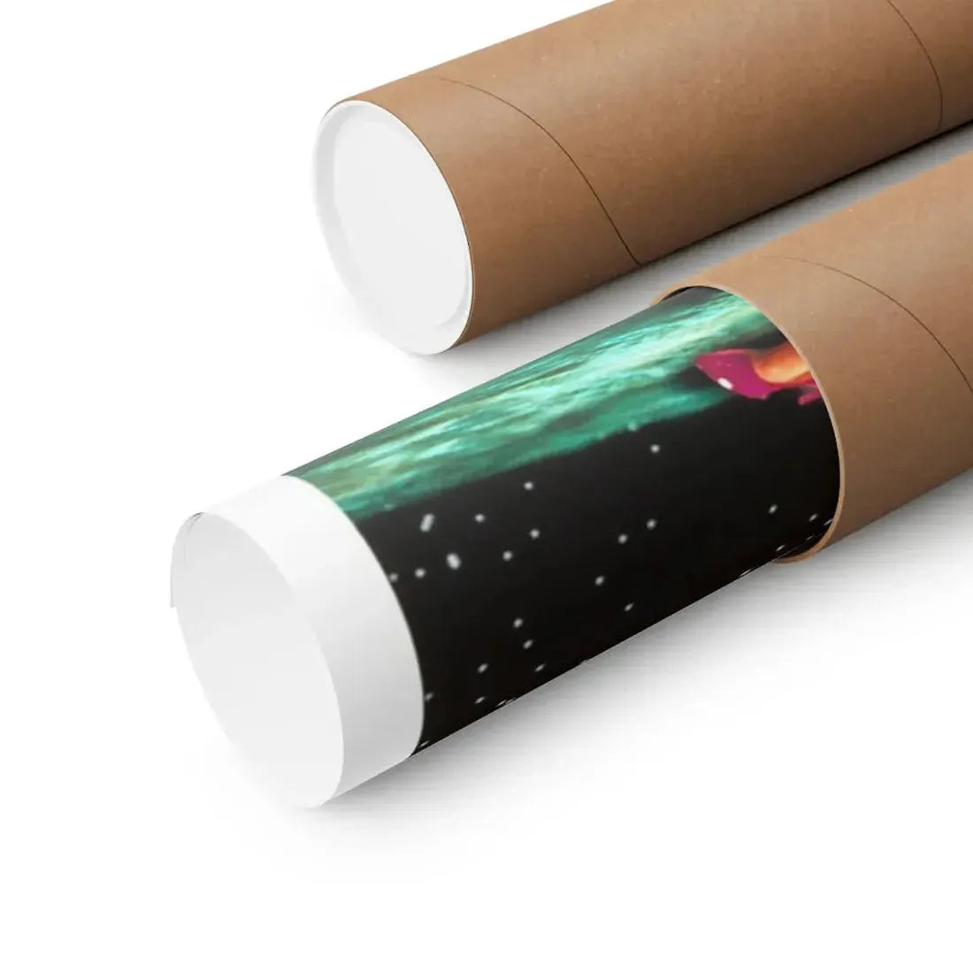 VAMPIRE VIXENS FROM VENUS 1995 - Paper Movie Poster - The Sticker Space