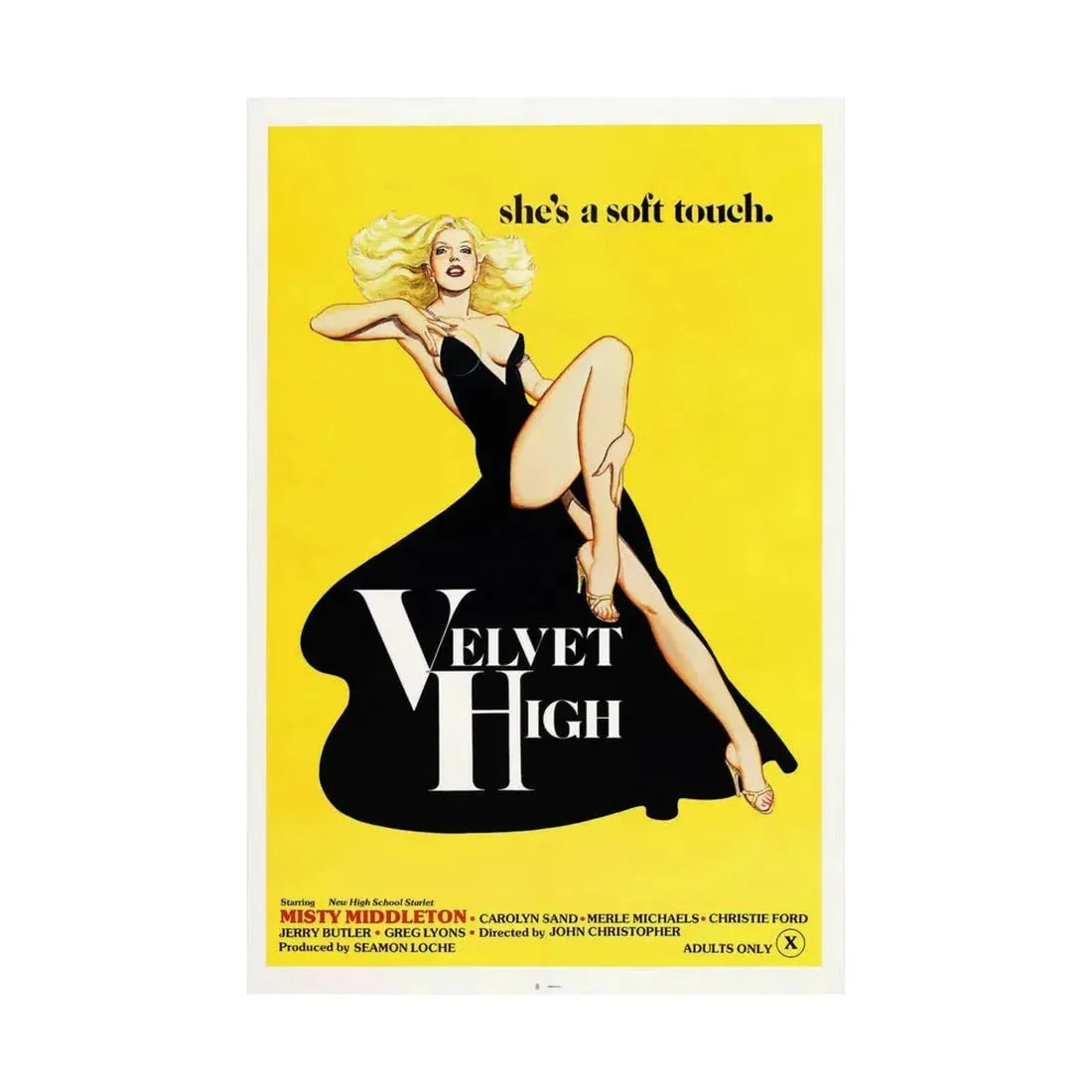 VELVET HIGH 1981 - Paper Movie Poster - The Sticker Space
